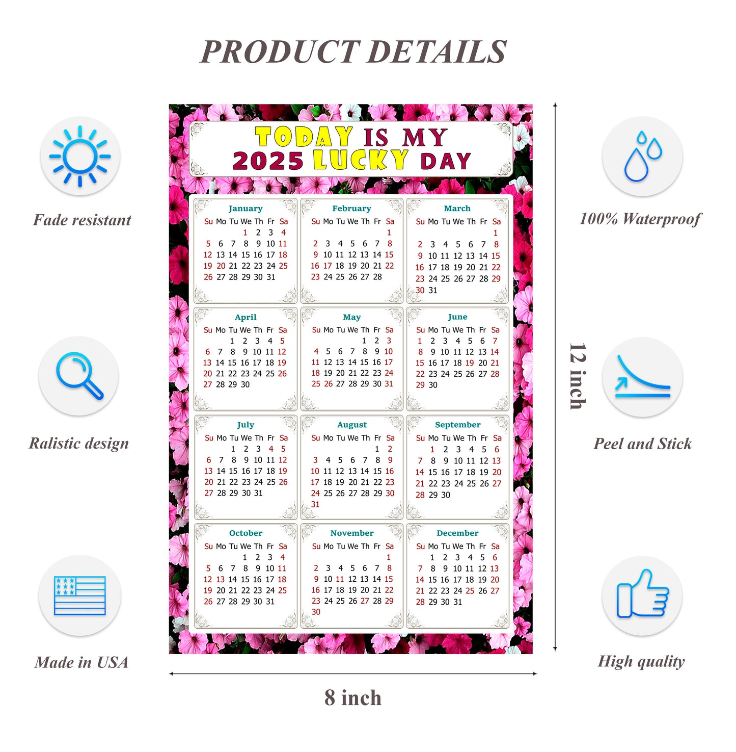 2025 Peel & Stick Calendar - Today is my Lucky Day Removable - 027