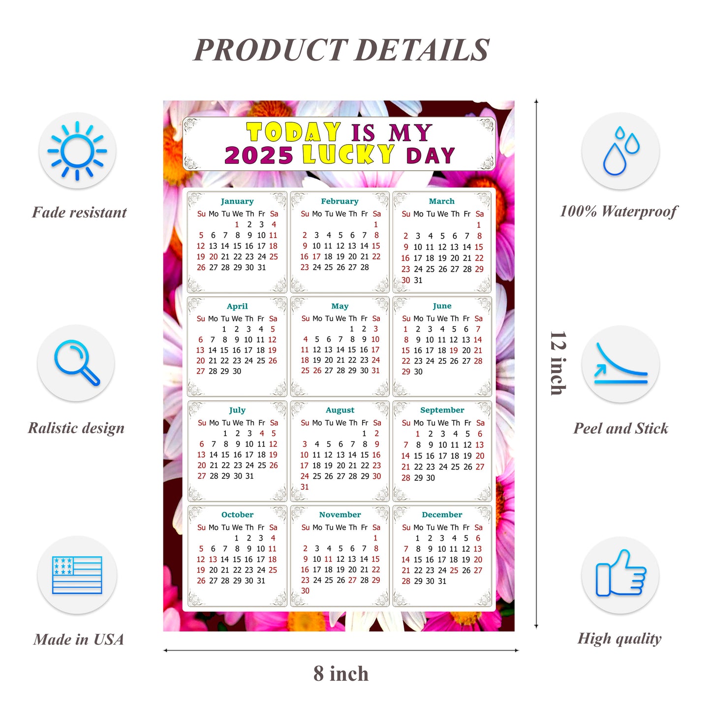 2025 Peel & Stick Calendar - Today is my Lucky Day Removable - 032