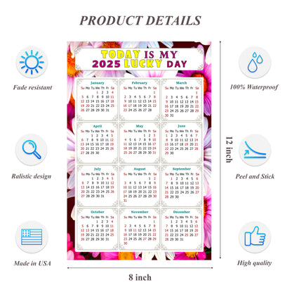 2025 Peel & Stick Calendar - Today is my Lucky Day Removable - 032