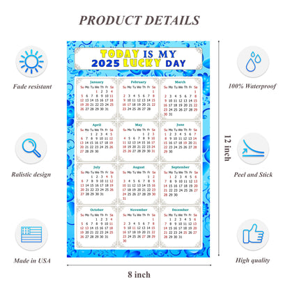 2025 Peel & Stick Calendar - Today is my Lucky Day Removable - 041