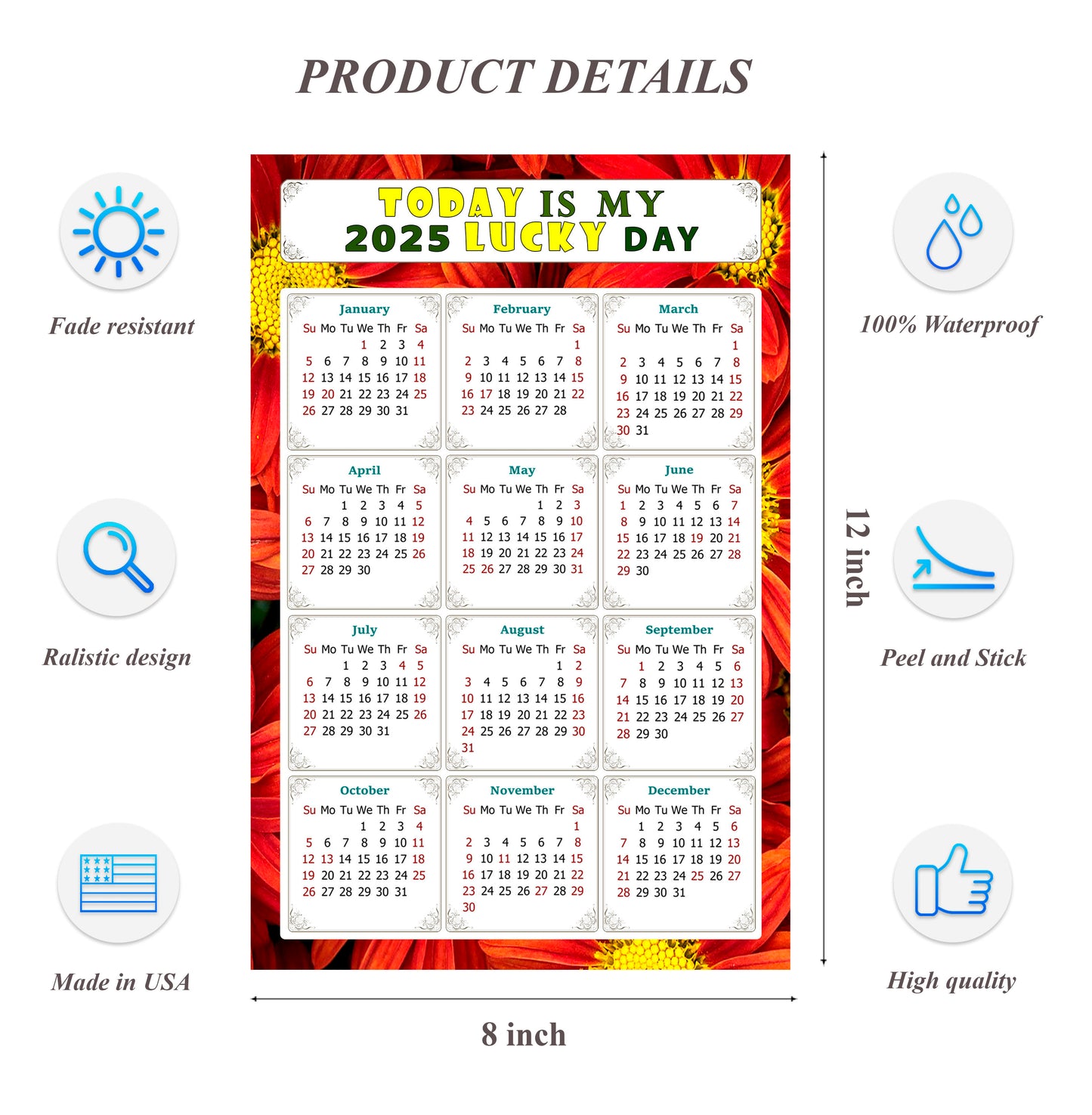 2025 Peel & Stick Calendar - Today is my Lucky Day Removable - 031