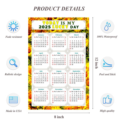 2025 Peel & Stick Calendar - Today is my Lucky Day Removable - 030