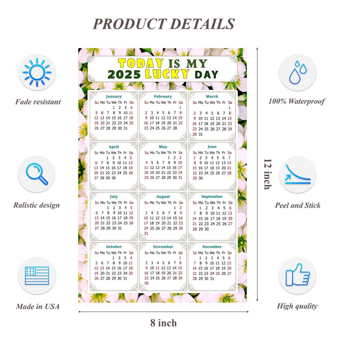 2025 Peel & Stick Calendar - Today is my Lucky Day Removable - 029