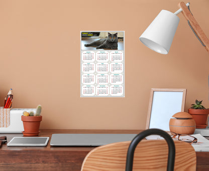 2025 Peel & Stick Calendar - Today is my Lucky Day Removable - Cat 014 (12"x 8")