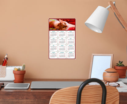 2025 Peel & Stick Calendar - Today is my Lucky Day Removable - Cat 07 (12"x 8")