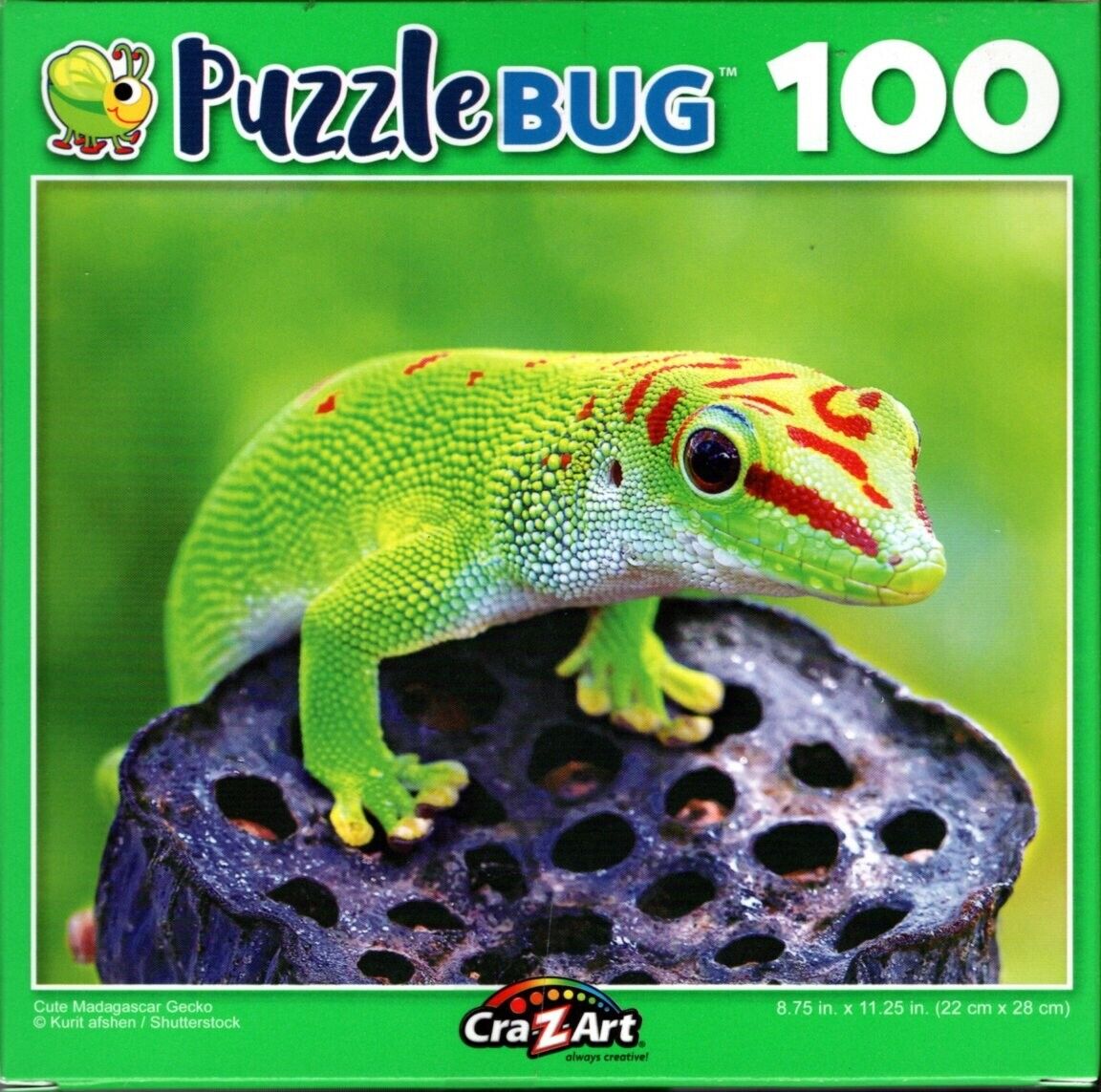 Cute Madagascar Gecko - 100 Pieces Jigsaw Puzzle