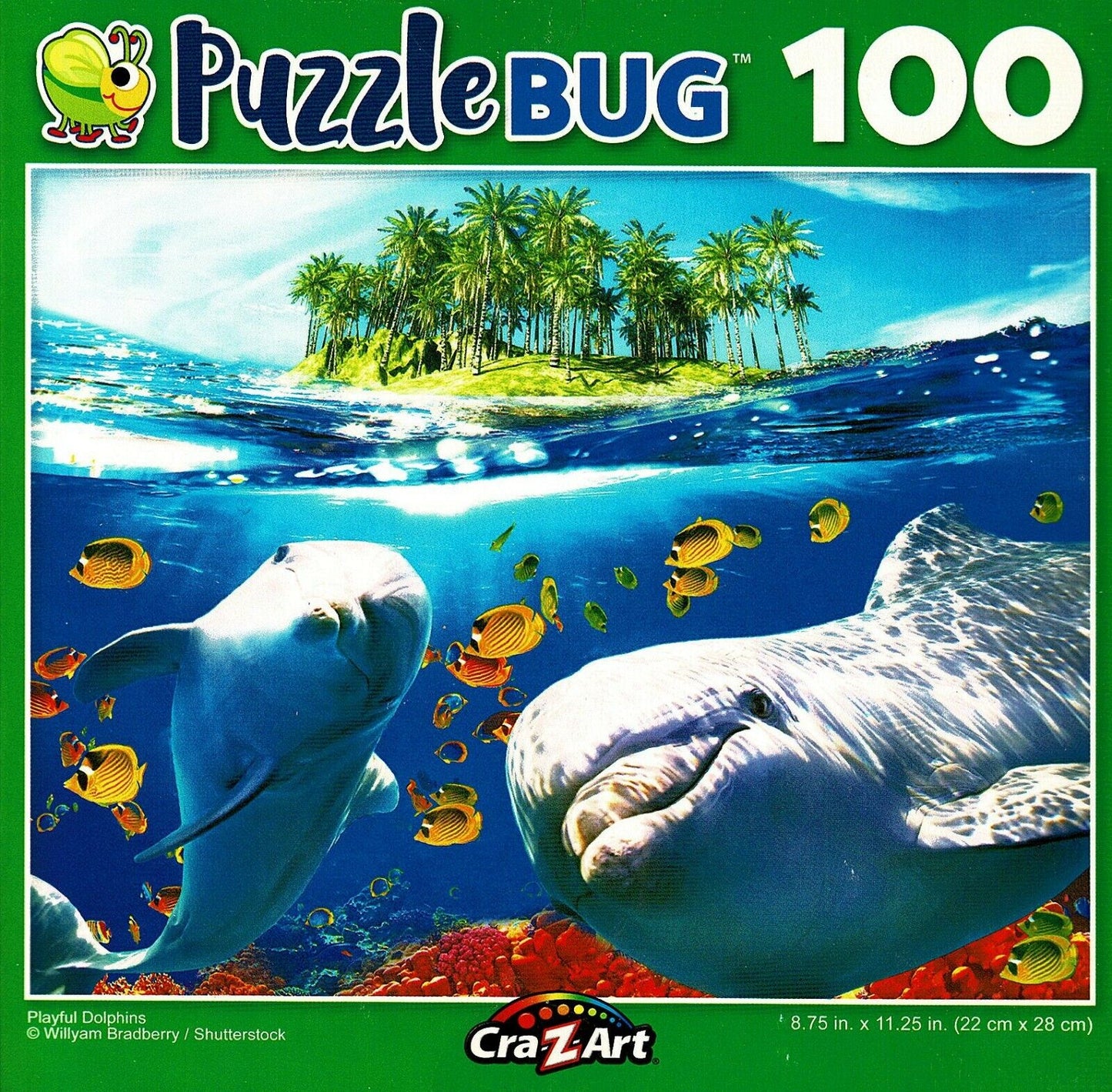 Playful Dolphins - 100 Piece Jigsaw Puzzle
