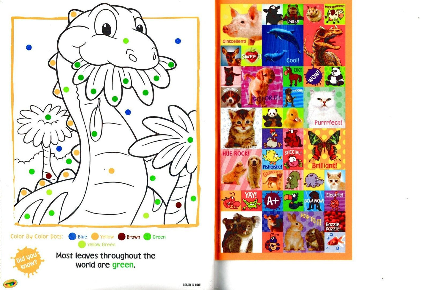 Crayola Educational Workbooks - Colors is Fun + Squiggles & Doodles Book