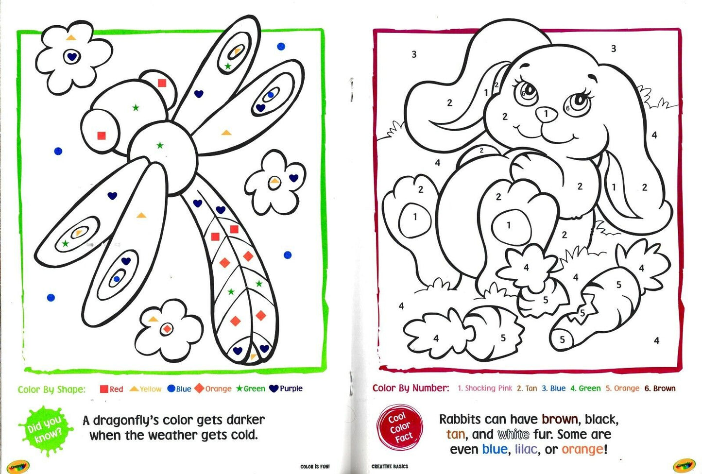 Crayola Educational Workbooks - Colors is Fun + Squiggles & Doodles Book