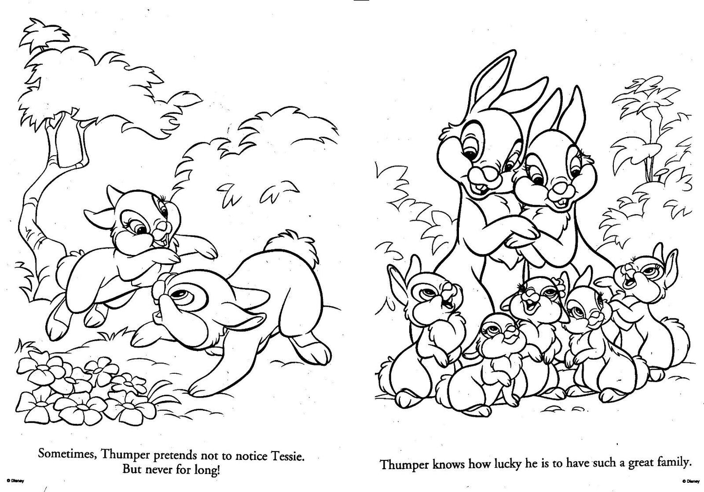 Disney Bannies - Jumbo Coloring & Activity Book - Easter Blooms