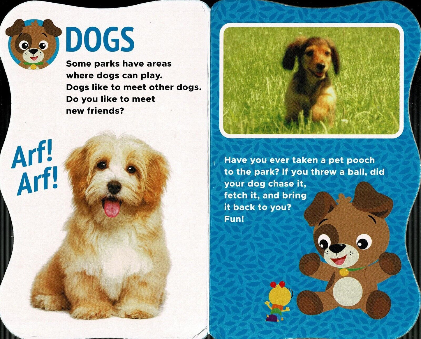 Video Fun Book - Children's Board Book (Set of 4 Books)