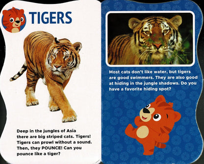 Video Fun Book - Children's Board Book (Set of 4 Books)