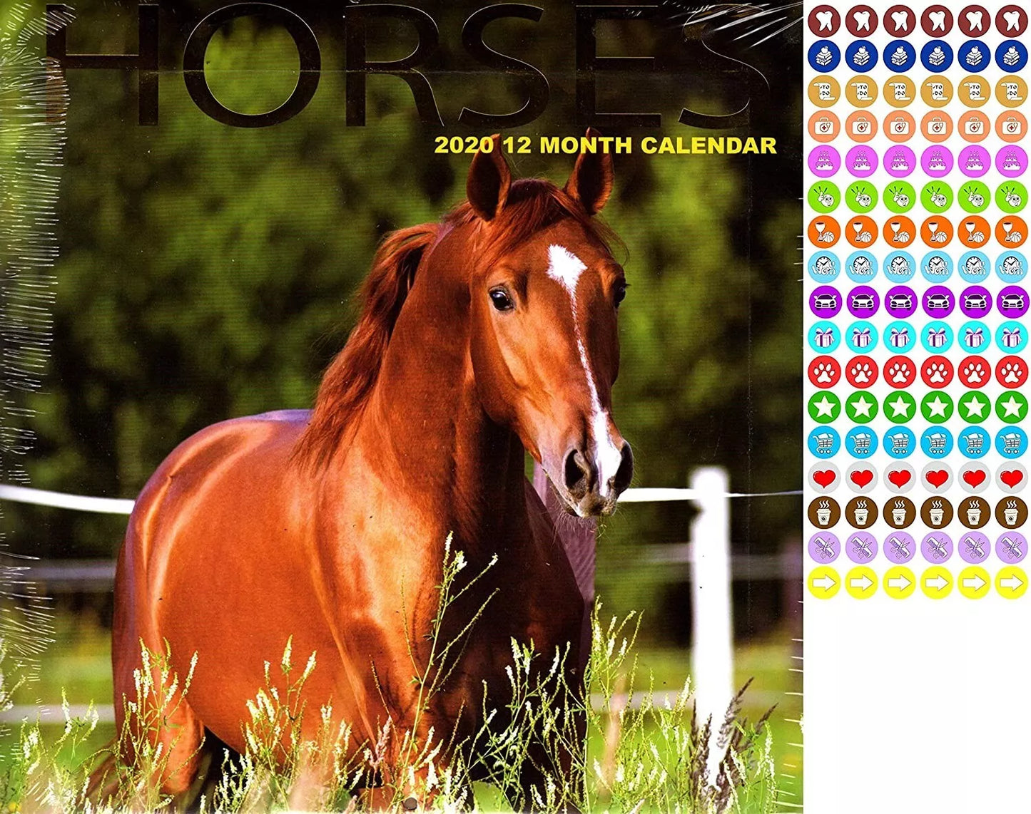 Horses - 12 Month 2020 Wall Calendar - with 100 Reminder Stickers