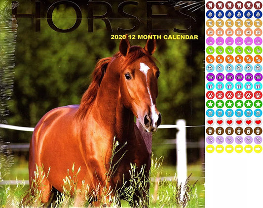 Horses - 12 Month 2020 Wall Calendar - with 100 Reminder Stickers