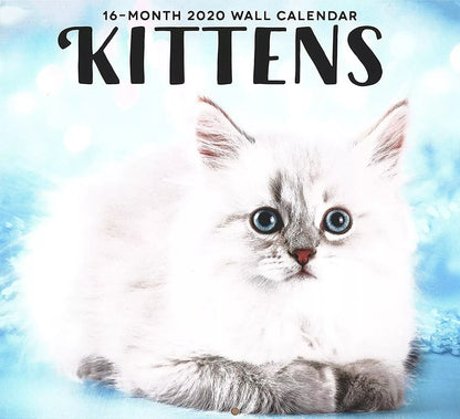 2020 Kittens Full-Size Wall Calendar, 16-Month