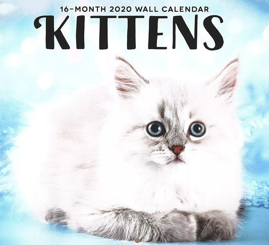 2020 Kittens Full-Size Wall Calendar, 16-Month