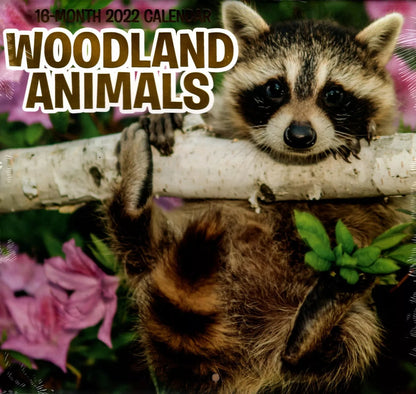2022 16 Month Wall Calendar - Woodland Animals