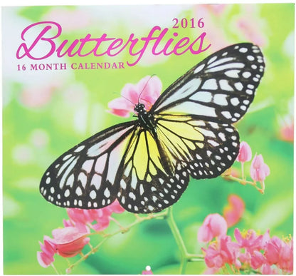 2016 Butterflies 16 Month Wall Calendar