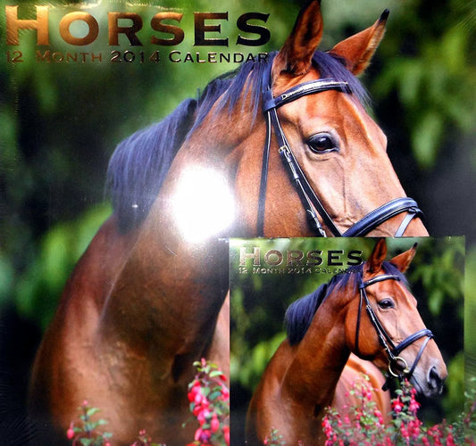 Horses - (12x11) 12 Month 2014 Wall Calendar + FREE 5"x6" mini Calendar
