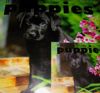 2014 Puppies 12 Month Calendar Includes Mini Calendar As Shown in the Photo