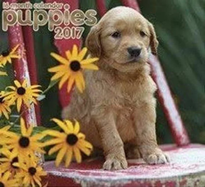 Puppies 2017 Organizer Scheduler Appointment Book Wall Calendar (16 Month)
