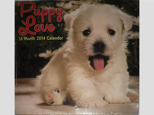 Puppy Love 16 Month 2014 Mini Wall Calendar
