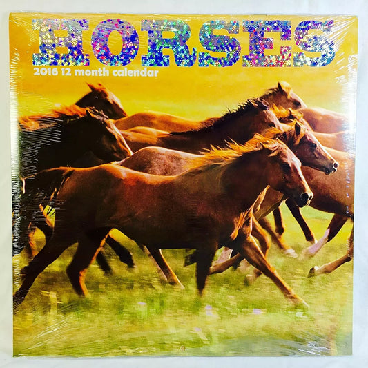 Horses 2016 12 Month Calendar