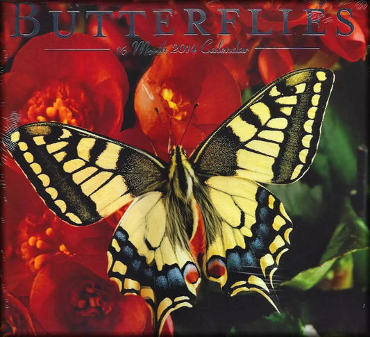 2014 Butterflies Wall Calendar