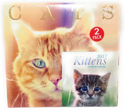 2017 Cats Calendars 12" x 12" With Kittens Mini Calendar