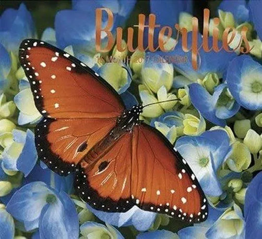 Butterflies 2017 Scheduler Planner Wall Calendar (16 Month) 12 x 11