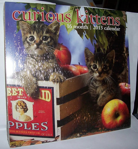 2013 16 Month Wall Calendar - Curious Kittens