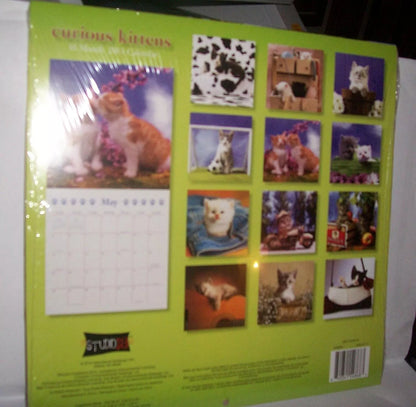 2013 16 Month Wall Calendar - Curious Kittens