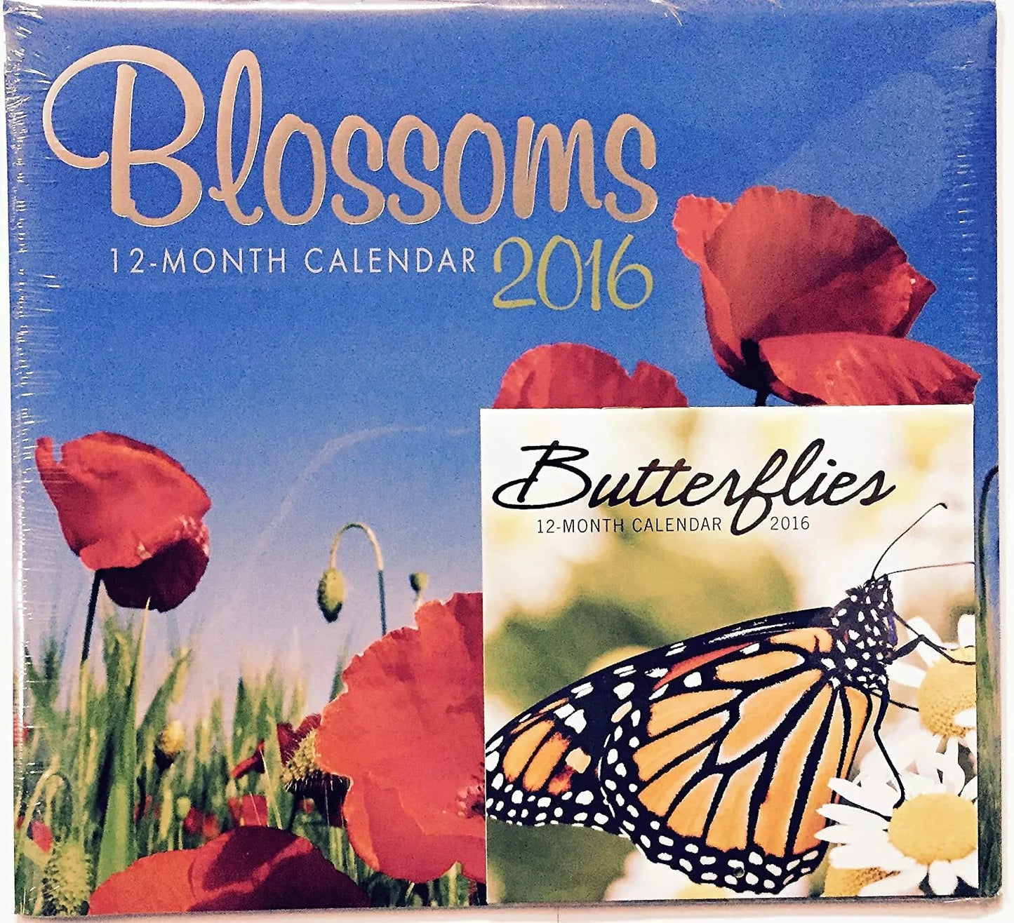 Blossoms 2016 12 Month Calendar with Miniature Calendar