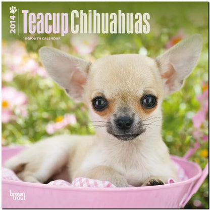 Teacup Chihuahuas 2014 18-Month Calendar (Multilingual Edition)