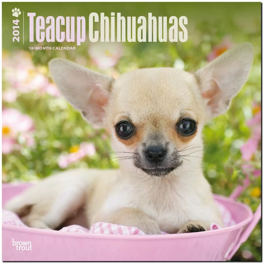 Teacup Chihuahuas 2014 18-Month Calendar (Multilingual Edition)