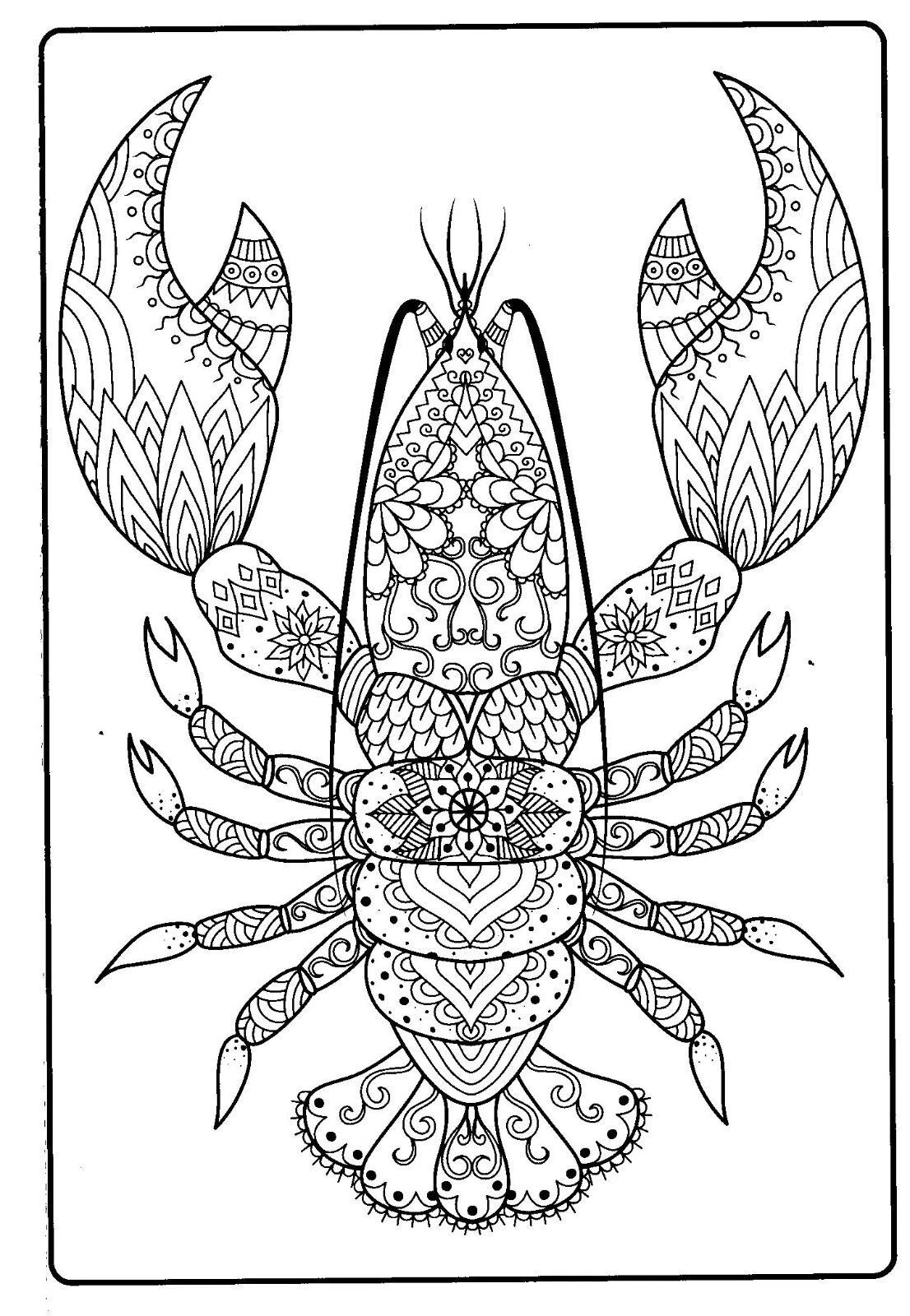 Ocean Treasures & Tropical Paradise - Adult Coloring Book (Set of 2)