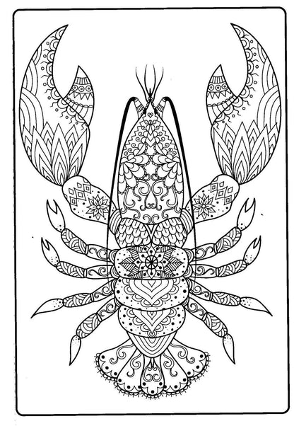 Ocean Treasures & Tropical Paradise - Adult Coloring Book (Set of 2)