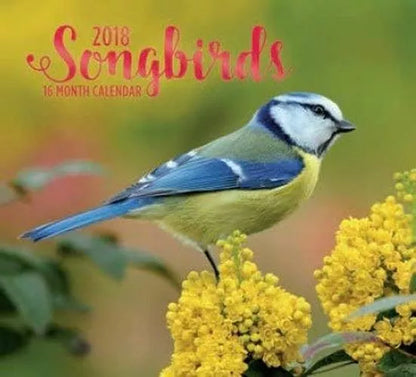 Songbirds 2018 Wall Calendar (16-month)