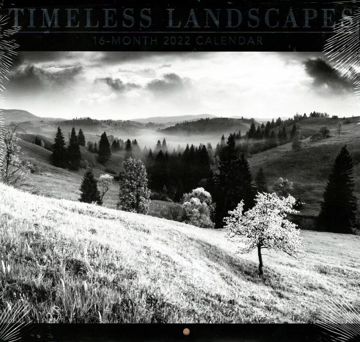 2022 16 Month Wall Calendar - Timeless Landscapes