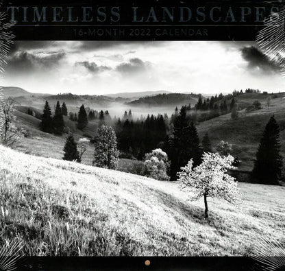 2022 16 Month Wall Calendar - Timeless Landscapes