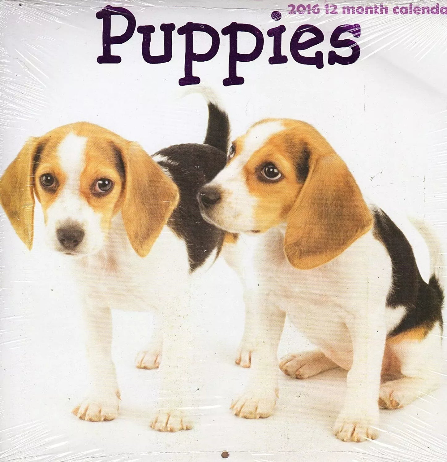 Puppies - 2016-12 Month Wall Calendar