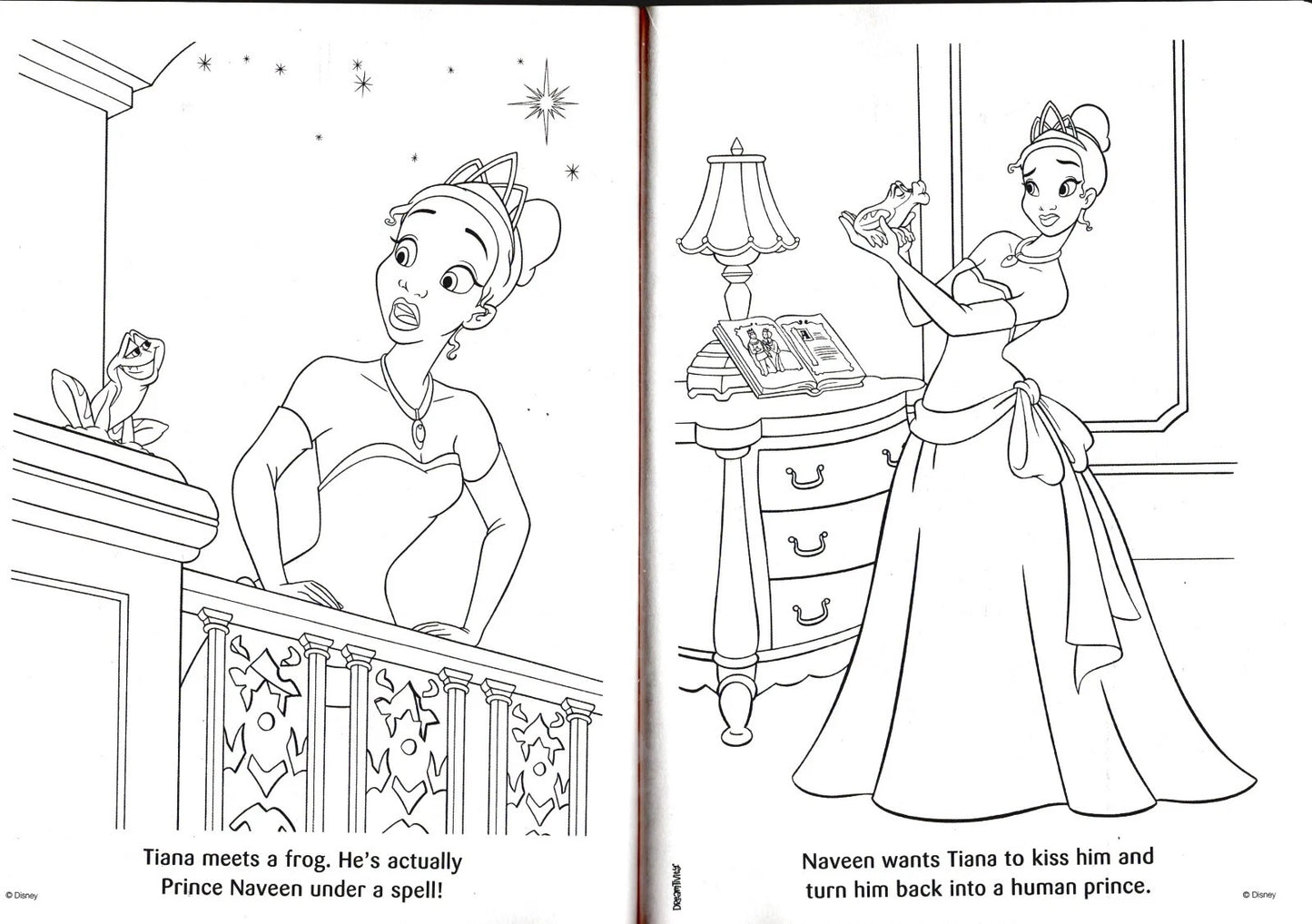 The Princess and the Frog - The Trust your Heart &Fairy Tale Dream - Book
