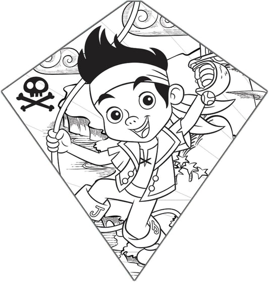 Color-Me-Kite Tyvek Diamond Kite: Jake