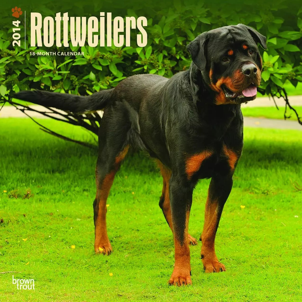 Rottweilers 2014 Wall Calendar