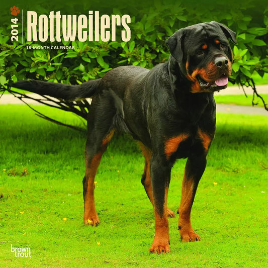 Rottweilers 2014 Wall Calendar