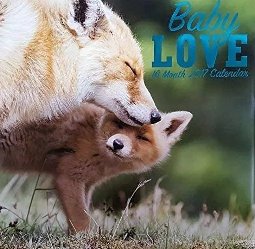 Animals Baby Love 2017 Wall Calendar (16 Months)