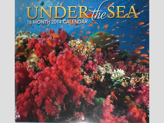 Under the Sea 16 Month 2014 Mini Wall Calendar
