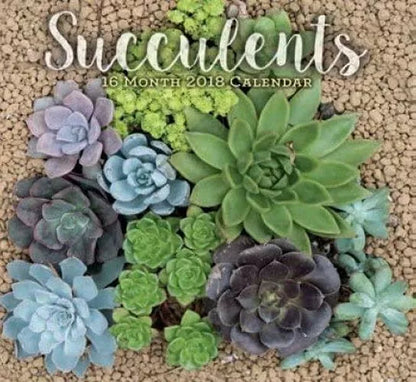 Succulents 2018 Premium Wall Calendar (16-month)