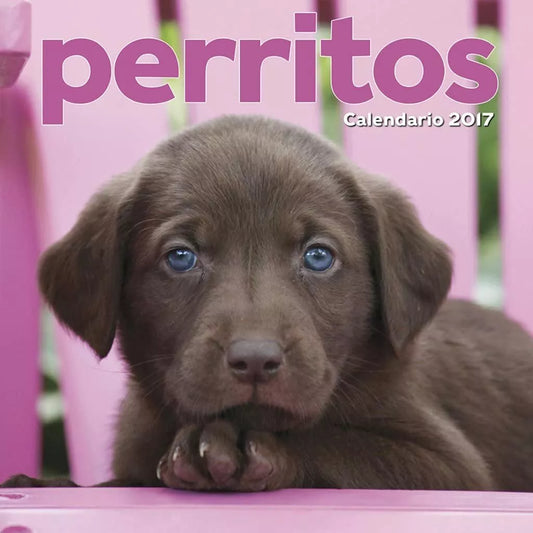 Perritos Puppies Spanish 2017 16 Month Wall Calendar 12x12