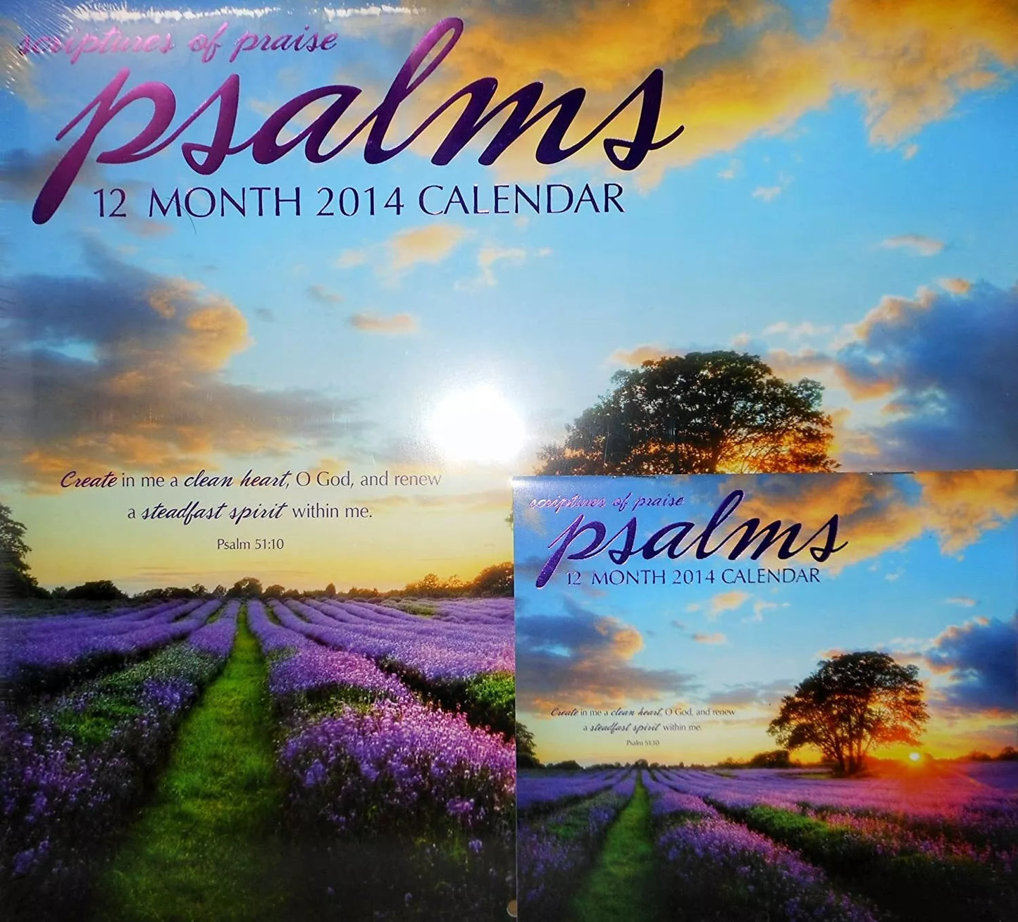 Psalms - (12x11) 12 Month 2014 Wall Calendar + Free 5"x6" Mini Calendar